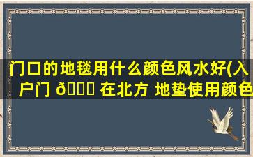 门口的地毯用什么颜色风水好(入户门 🍁 在北方 地垫使用颜色)